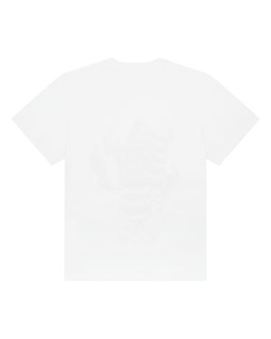 DTc42-2-8copy